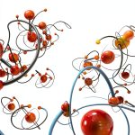 Statistics with R Software: A Comprehensive Guide for Bioinformatics-0