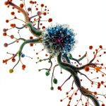 Kindle Bioinformatics Guide for Unlimited Device Usage-0