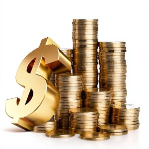 The CoinHub: Antique & Collectible Precious Metals Guide-0